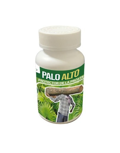 Palo Alto